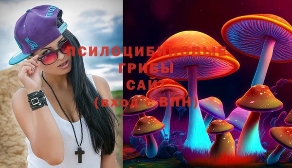МДМА Арсеньев